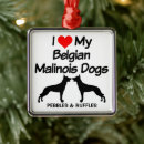 Buscar malinois belgas adornos Amor