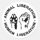 Buscar liberación pegatinas Animal