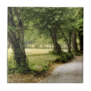 Buscar camino azulejos Paisajes