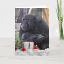 Buscar chimpancés tarjetas Navidades