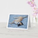 Buscar caninas tarjetas General y unisex