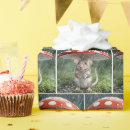 Buscar seta papel de regalo Lindo