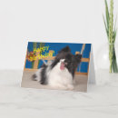 Buscar perro del papillon tarjetas Perros
