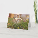 Buscar reuniones tarjetas Amigo