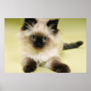 Buscar sellos posters Verde