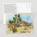 Buscar joshua postales Parque nacional