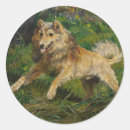 Buscar collie pegatinas Perros