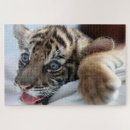 Buscar cachorro de tigre puzzles Gatos
