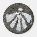 Buscar camino de santiago imanes Peregrino