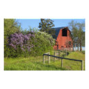 Buscar de lino posters Flor