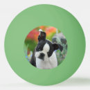 Buscar perros pelotas de ping pong Adorable