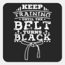 Buscar aikido pegatinas Taekwondo