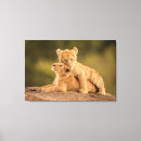 Buscar reservas arte Kenya