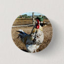 Buscar cultivo chapas Gallo