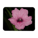 Buscar crecimiento imanes Naturaleza