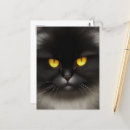 Buscar gatitos negros postales Amante del gato