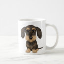 Buscar teckel tazas Perro