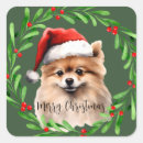 Buscar pomerania pegatinas Perro