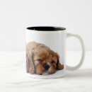 Buscar perro el dormir tazas Integral