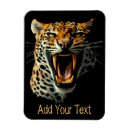 Buscar leopardo imanes Animales salvajes