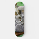 Buscar koala tablas de skate Lindo