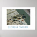 Buscar cangrejos posters Cangrejo azul