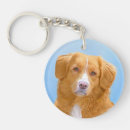Buscar scotia llaveros Perro