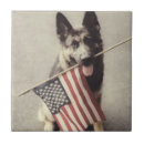 Buscar pastor alemán azulejos Lindo