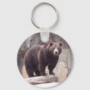 Buscar bear llaveros Grizzly