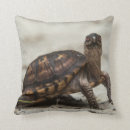 Buscar oxford cojines Georgia