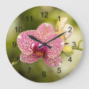 Buscar orquídeas relojes de pared Macro