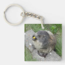 Buscar marmotas llaveros Naturaleza