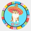 Buscar sombrero mexicano postales Perro