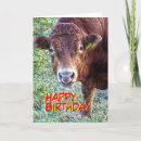 Buscar el toro tarjetas Para él