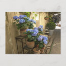 Buscar hortensias postales General y unisex