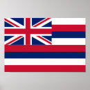 Buscar bandera del estado de hawaii posters Para todos
