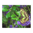 Buscar malaquita arte Naturaleza