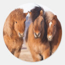Buscar equus pegatinas Abrigo