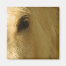 Buscar cabeza de caballo imanes Equino