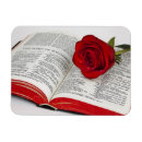 Buscar internet imanes Negocio