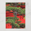 Buscar bonsai postales Japonés