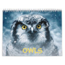 Buscar búhos calendarios Pájaros de presa