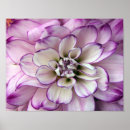 Buscar dalia blanca posters Blanco