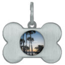 Buscar la florida mascotas Playa