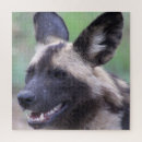 Buscar canidae Salvaje