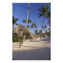 Buscar republica dominicana posters Bavaro