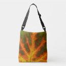 Buscar aluminio bolsos Naturaleza