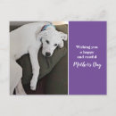 Buscar sucios postales Para ella