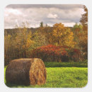 Buscar heno pegatinas Paisaje