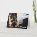Buscar schnauzer birthday Animal